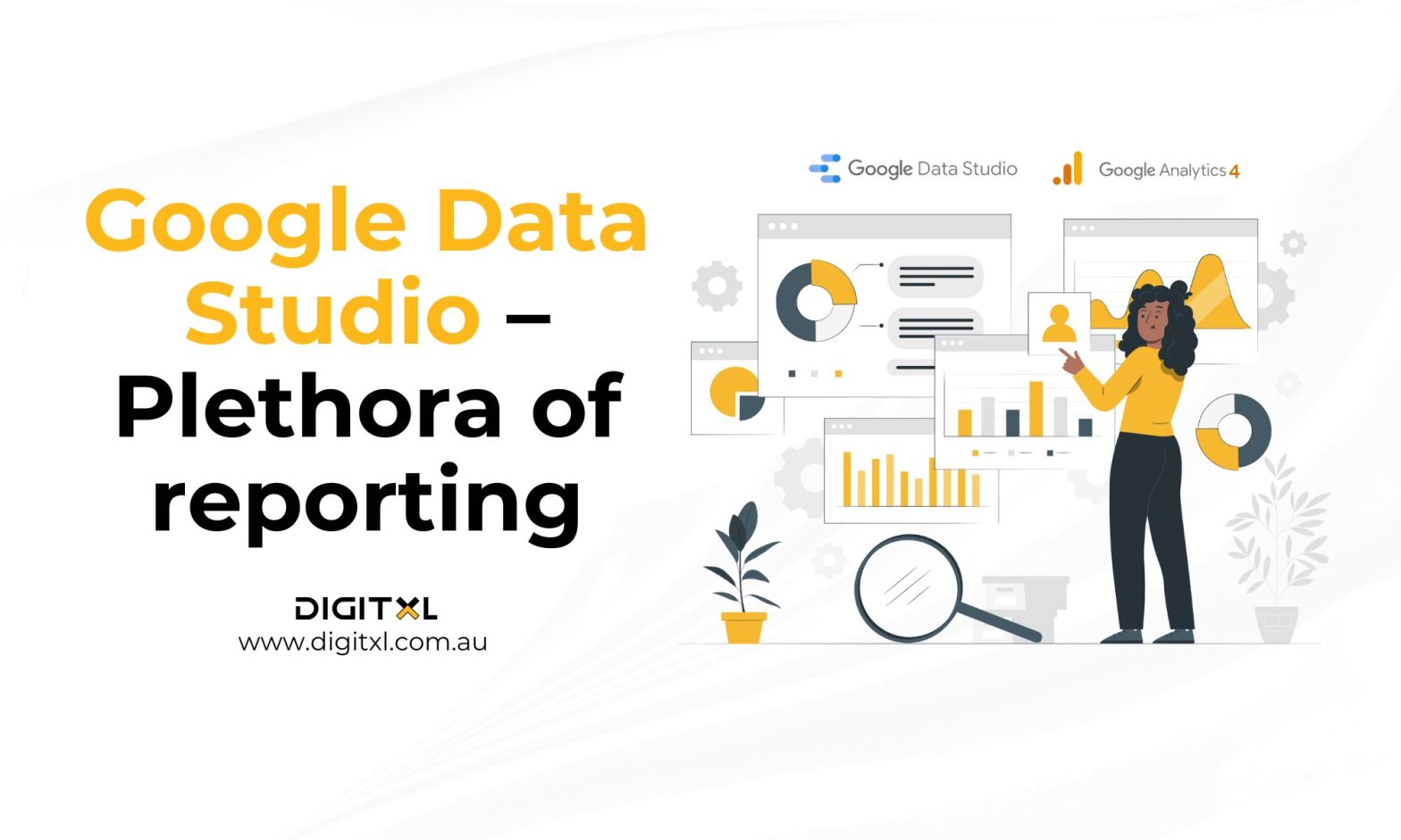 plethora reporting